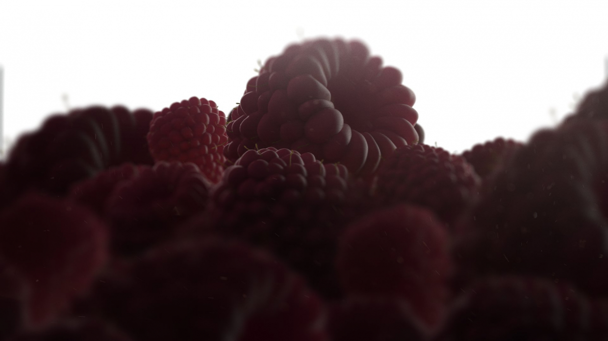 in 3d max vray 2.0 image