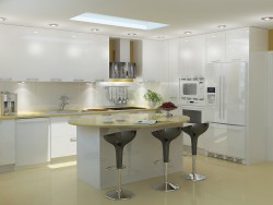 Big kitchen 3D visualization