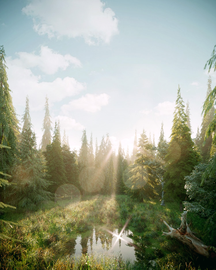 Forest-001-Corona in 3d max corona render immagine