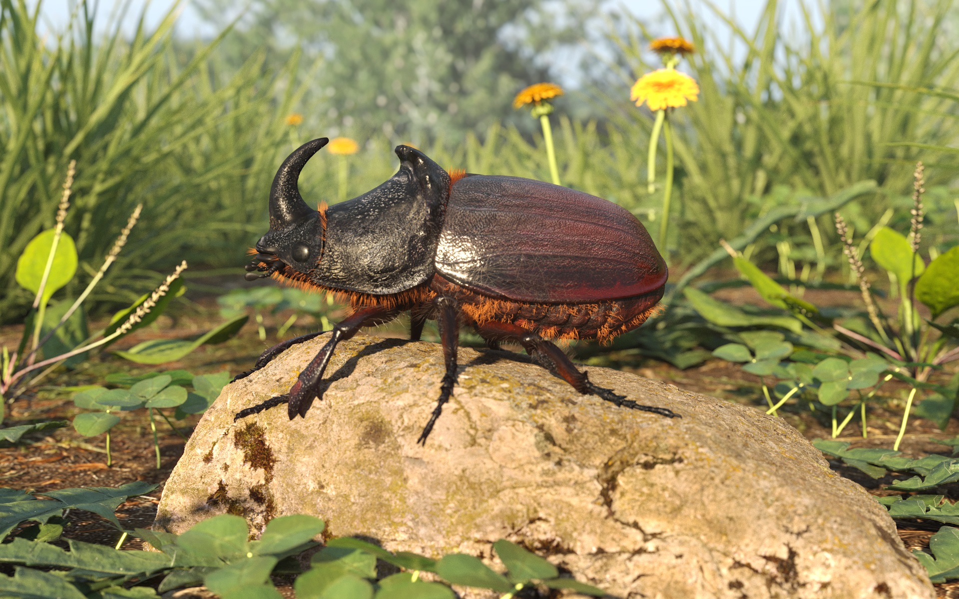 Rhinoceros beetle in 3d max corona render image