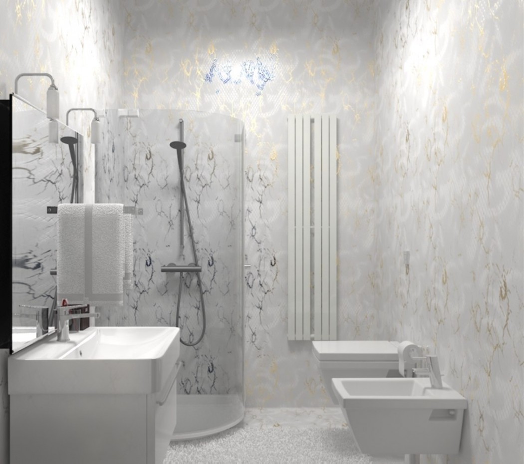 2 variants bathrooms. in 3d max vray image
