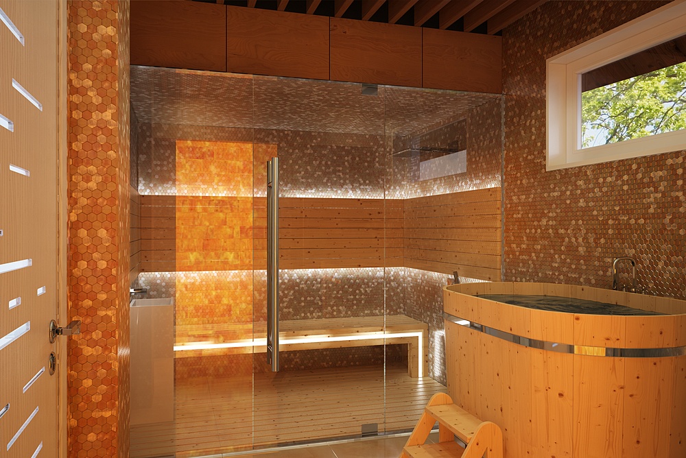 imagen de Una casa de madera moderna. Interior y exterior en 3d max corona render