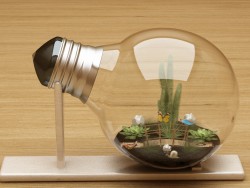 Micro-mundo en la lámpara