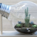 Micro-world in the lamp in 3d max vray image