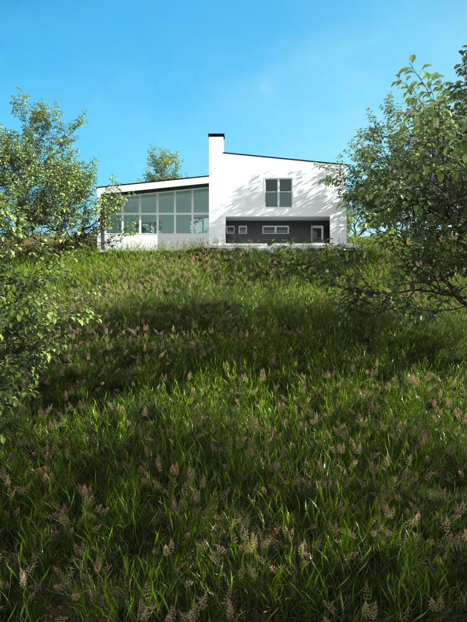 बड़ा घर 3d max corona render में प्रस्तुत छवि