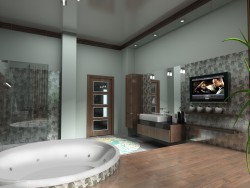 Badezimmer in einem Ferienhaus in 2 Versionen