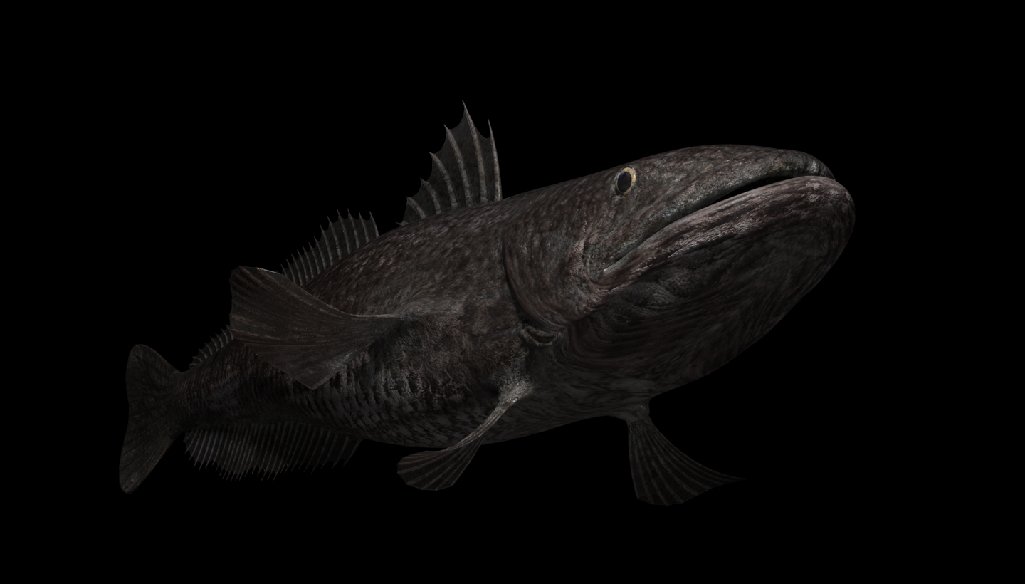 Undersea world in 3d max corona render image
