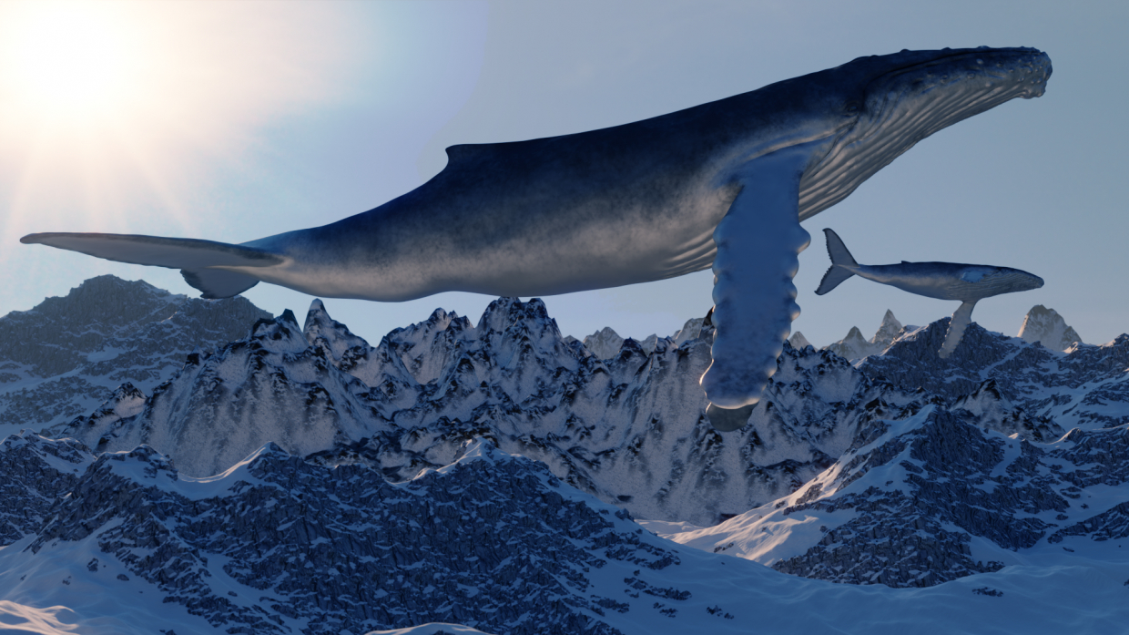 imagen de ballena en Blender cycles render
