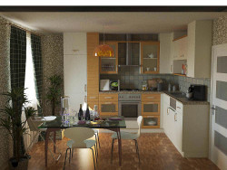 The kitchen in the apartment model.