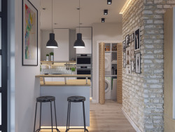 Визуализации кухни-студии с мебелю от IKEA