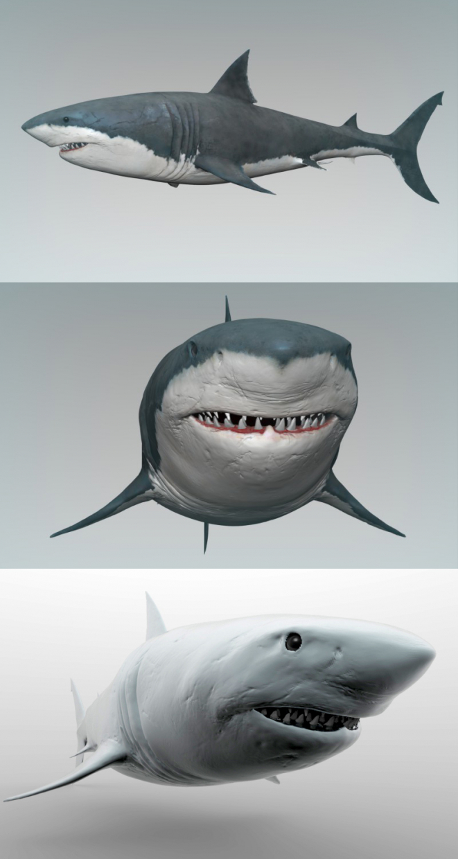 शार्क ZBrush Other में प्रस्तुत छवि