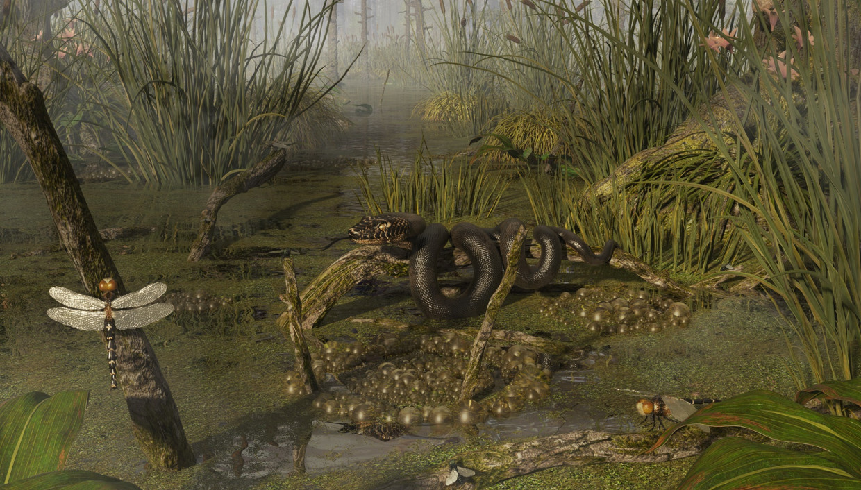 Обыкновенное болото в 3d max corona render изображение