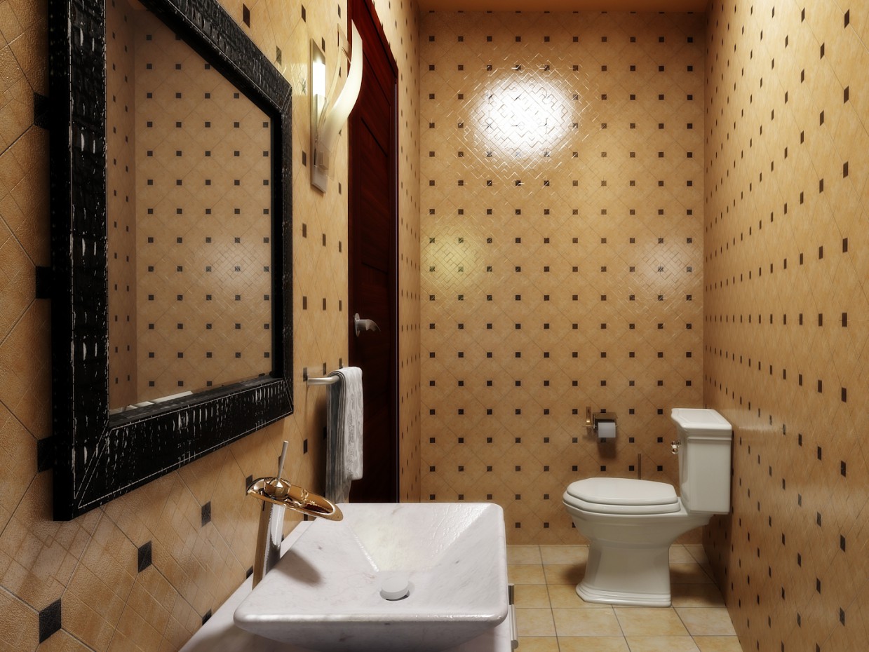 WC in 3d max vray image