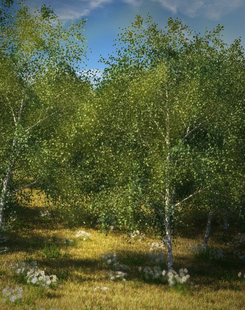 Просто лес в 3d max vray изображение