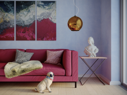 Interior with a pug