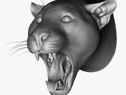 cabeça de jaguar