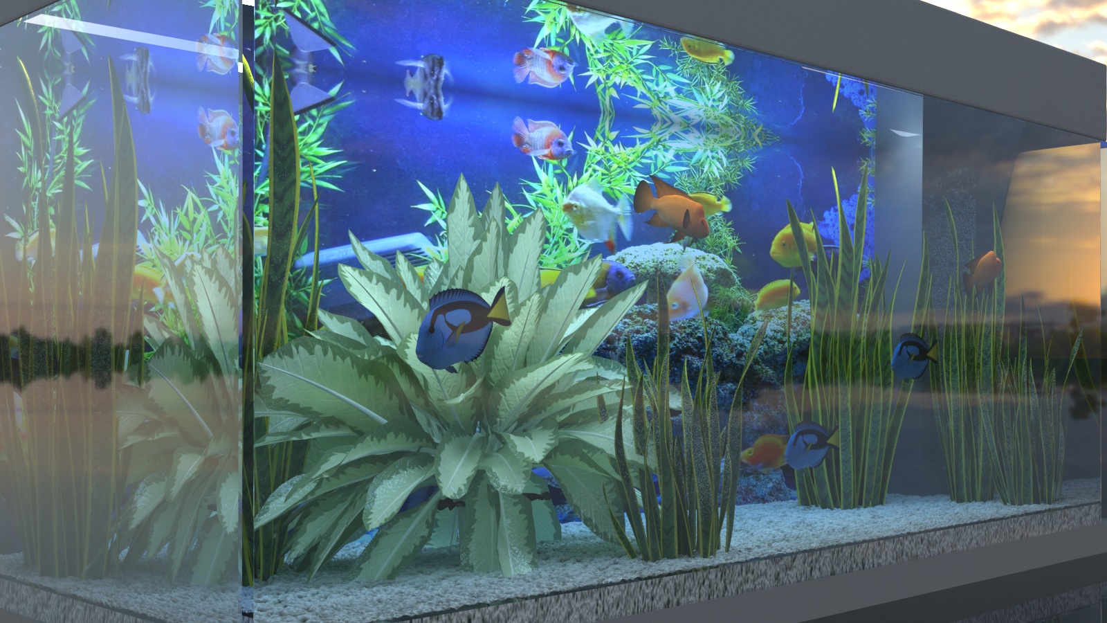 Rio 180 Aquarium em 3d max vray 3.0 imagem