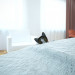 Küçük bir apartman ile bir kedi yavrusu) in 3d max vray 3.0 resim