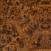 Texture download gratuito di Betulla careliana-20 - immagine