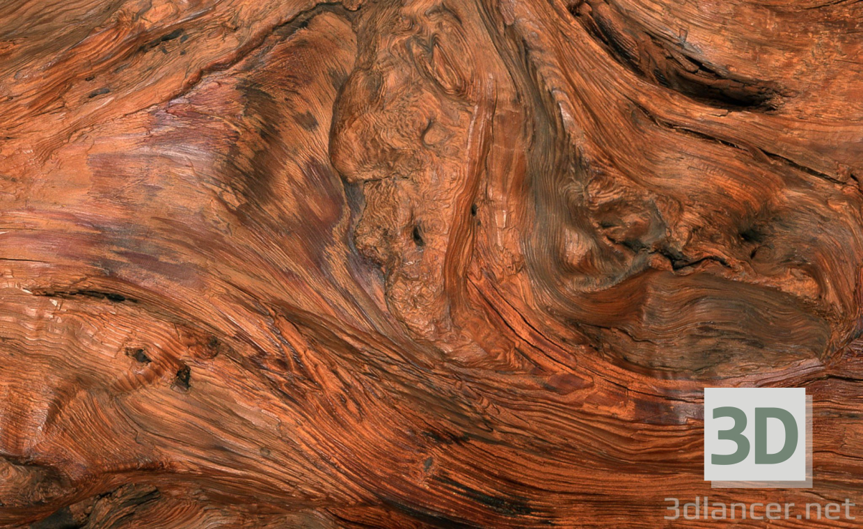Descarga gratuita de textura corte de árboles 44 - imagen
