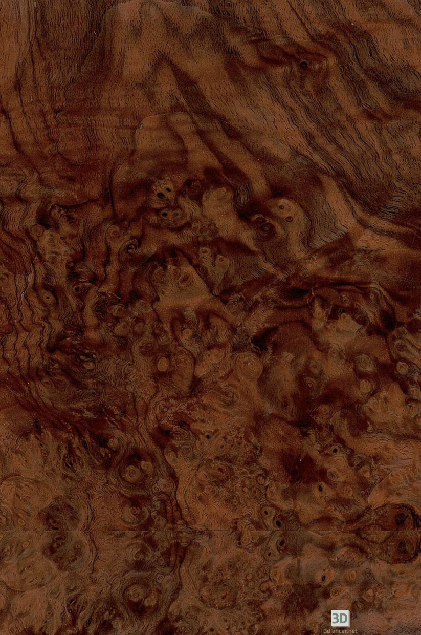 Descarga gratuita de textura rodaja de nuez americana burl-69 - imagen