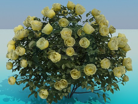 3d модель Пишний кущ троянд – превью