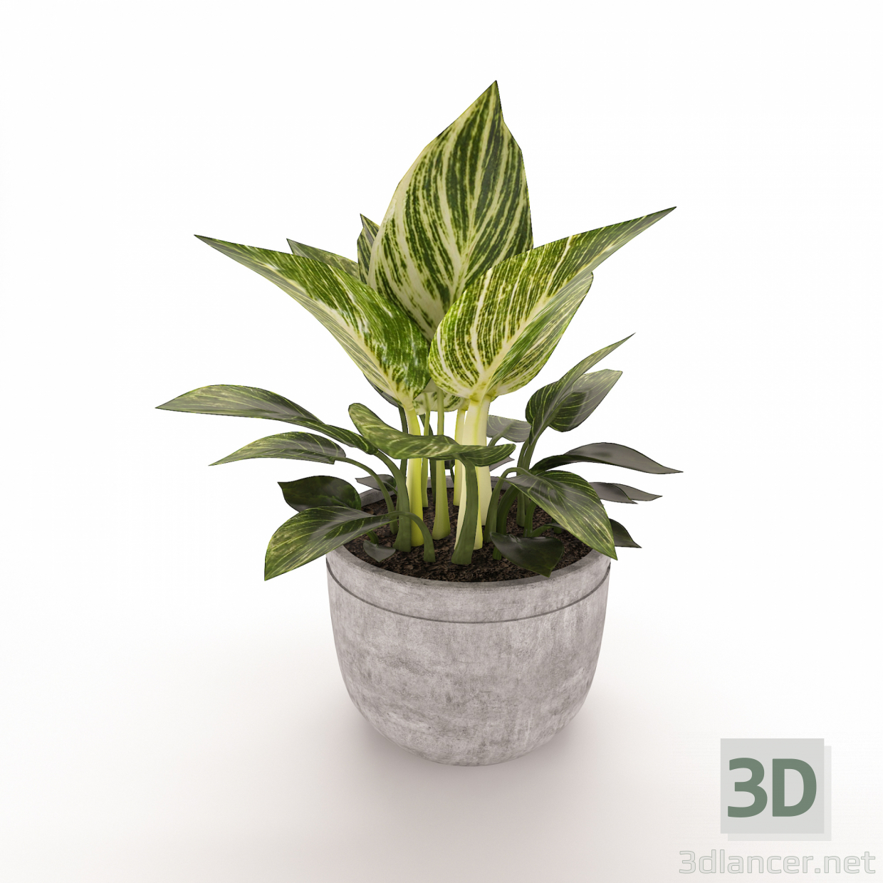 Filodendro 3D modelo Compro - render