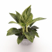 modèle 3D de Philodendron acheter - rendu