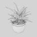 Philodendron 3D-Modell kaufen - Rendern