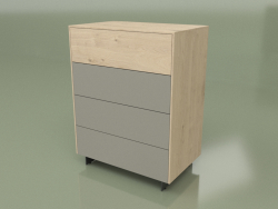 Chest of drawers CN 300 (Champagne, Gray)