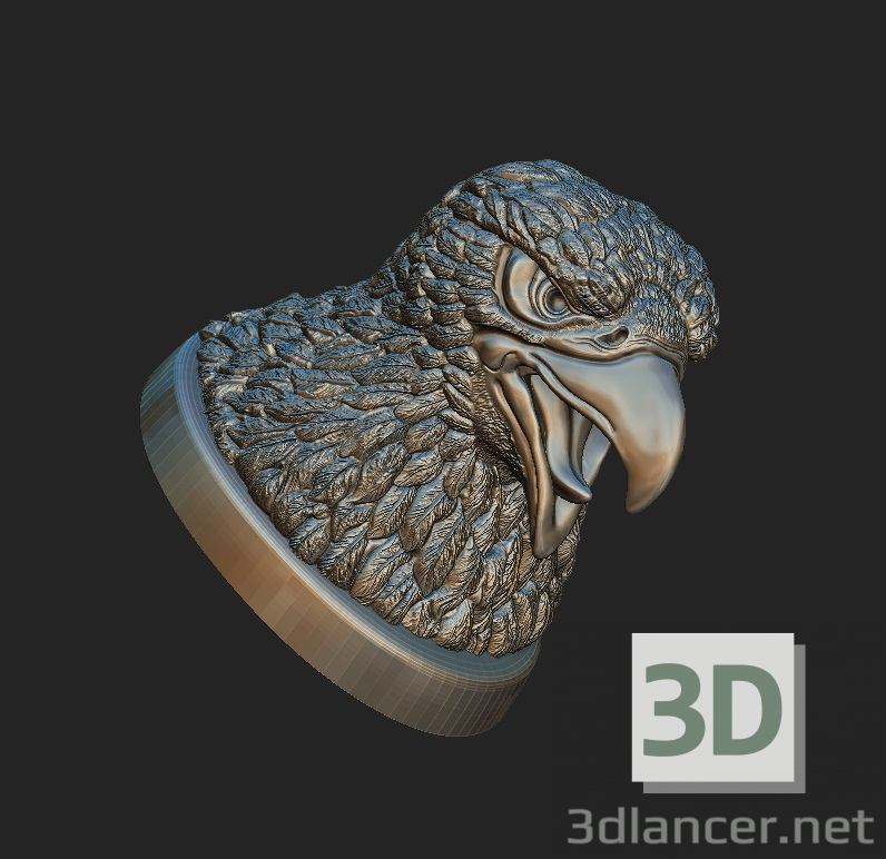 modello 3D di Aquila comprare - rendering
