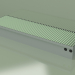 3D modeli Kanal konvektörü - Aquilo FMK (290x1000x140, RAL 6019) - önizleme