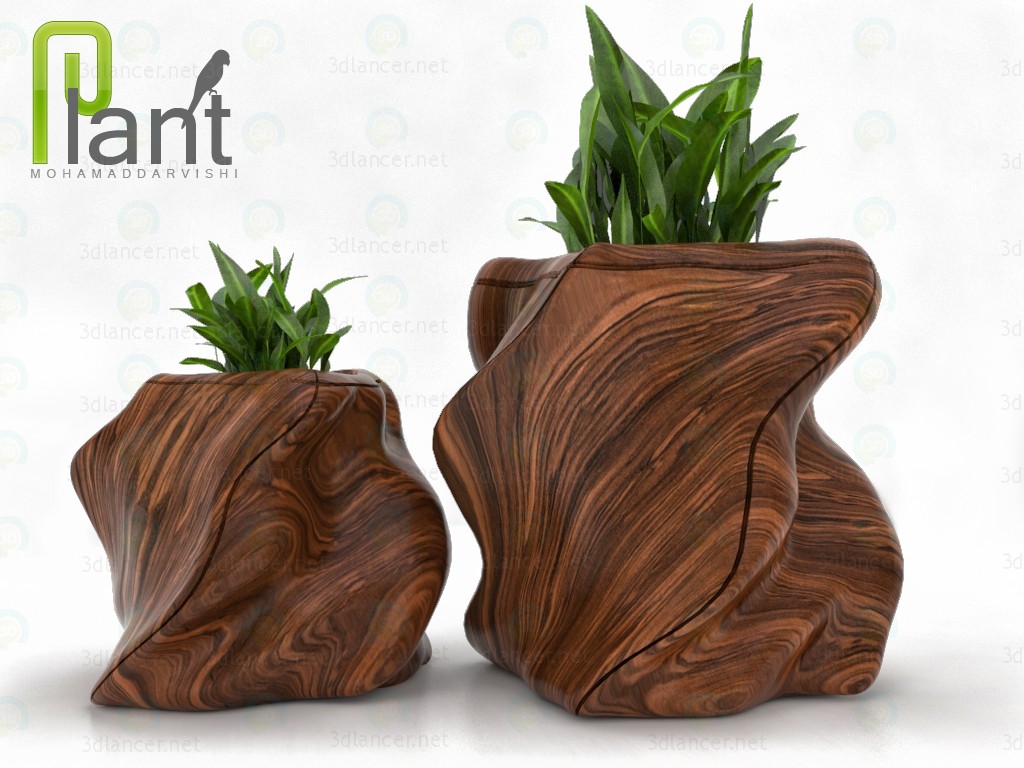 modèle 3D plante - preview