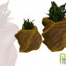 modèle 3D plante - preview
