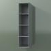 3d model Wall tall cabinet (8DUACD01, Silver Gray C35, L 24, P 36, H 96 cm) - preview