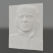 Modelo 3d Baixo-relevo de Che Guevara - preview