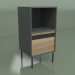 3d model Cabinet with module 01 - preview