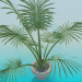 3D modeli Ev bitkisi - önizleme