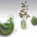 3d Plant terrarium SET PREVIEWNUM#