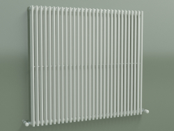 Радиатор вертикальный ARPA 2 (920 30EL, Standard white)