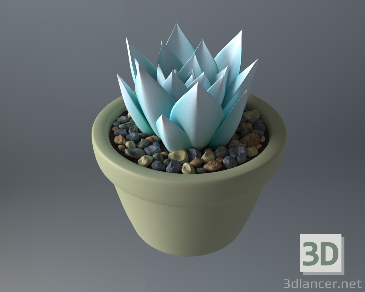 3d Succulent plant in a pot model buy - render