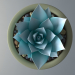modèle 3D de Plante succulente dans un pot acheter - rendu