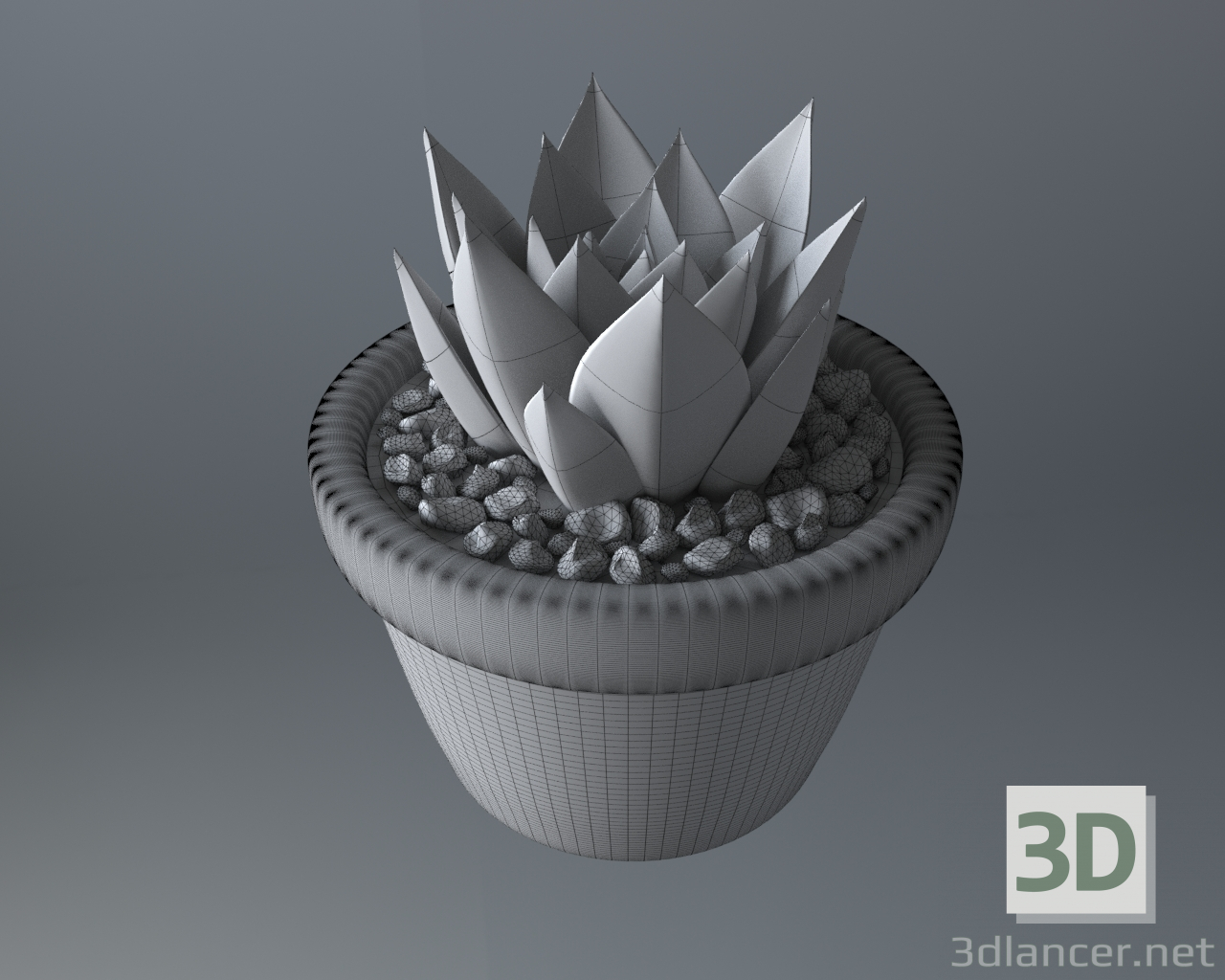 modello 3D di Pianta succulenta in vaso comprare - rendering