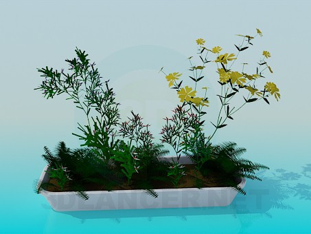 modello 3D Pot di fiore lungo con fiori - anteprima