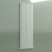 modèle 3D Radiateur vertical ARPA 2 (1820 16EL, Standard blanc) - preview