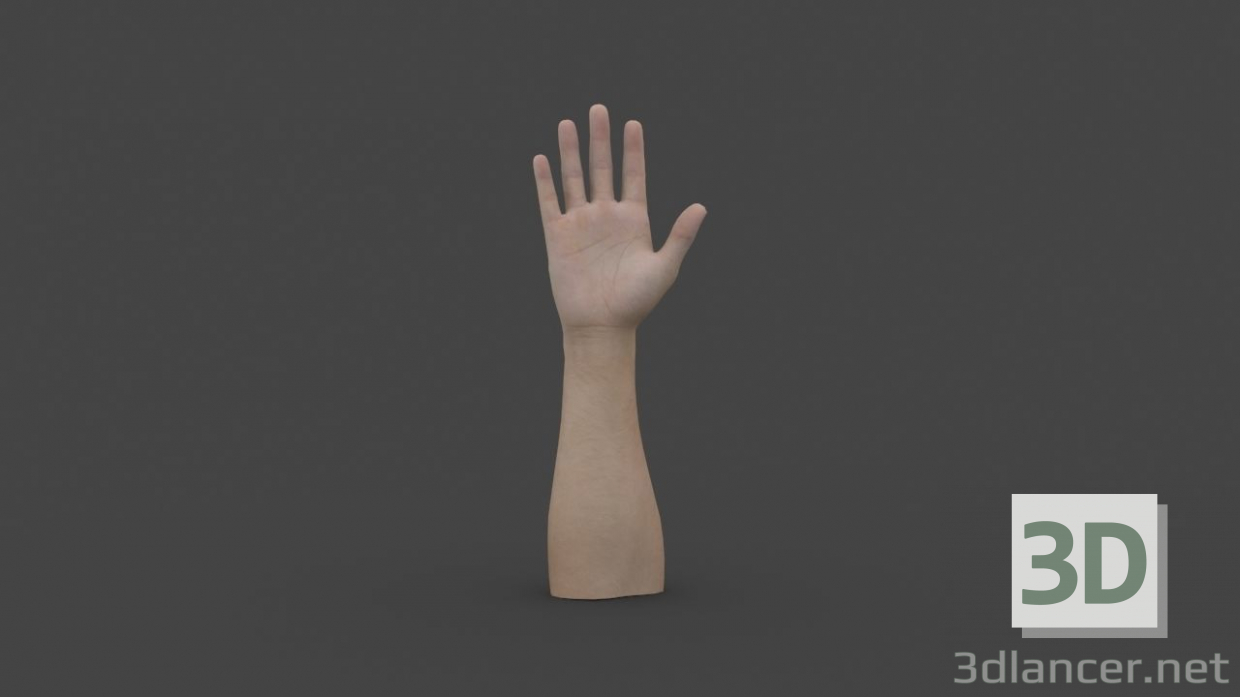 modello 3D di HAND-006 Mano truccata comprare - rendering