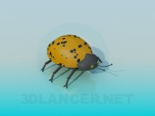 Escarabajo amarillo