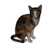 3d model gato color gris - vista previa