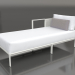 3d model Sofa module, section 2 left (Agate gray) - preview