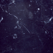 marble 01 buy texture for 3d max
